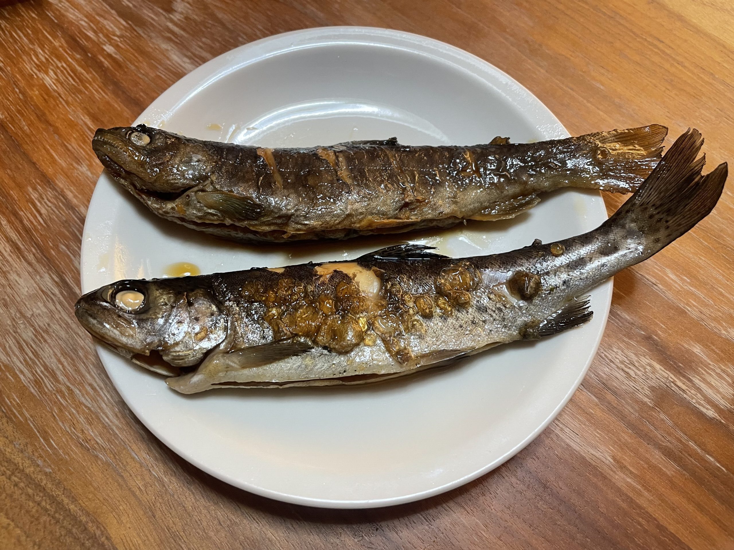 趣味の料理検証 釣ってきた川魚 ニジマス イワナ を甘露煮にしてみた サンモト手帳